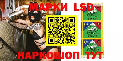 стаф Камышлов