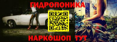 прущие крисы Изобильный