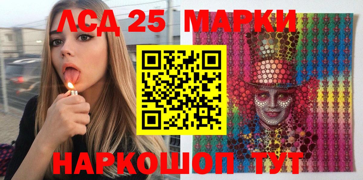 МЕФ Курчатов